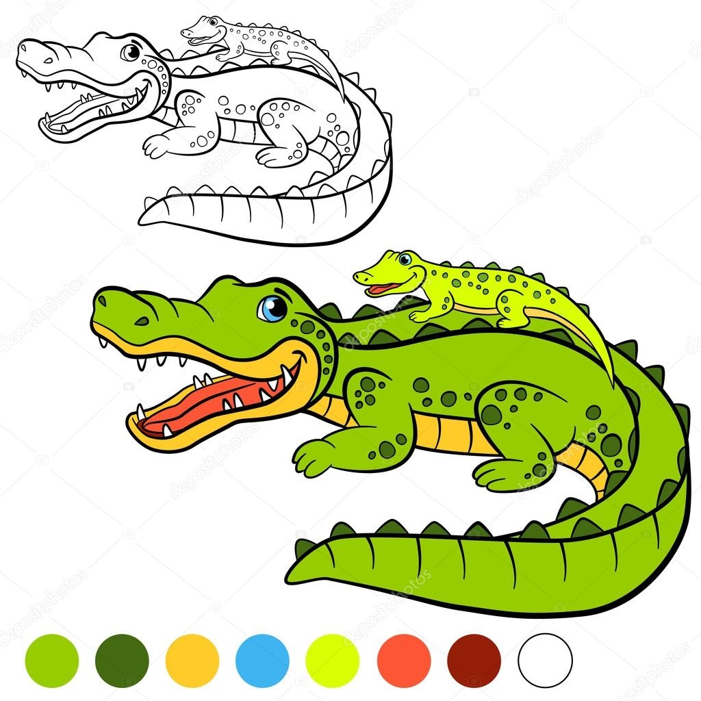 Рисунки цветные аллигаторов