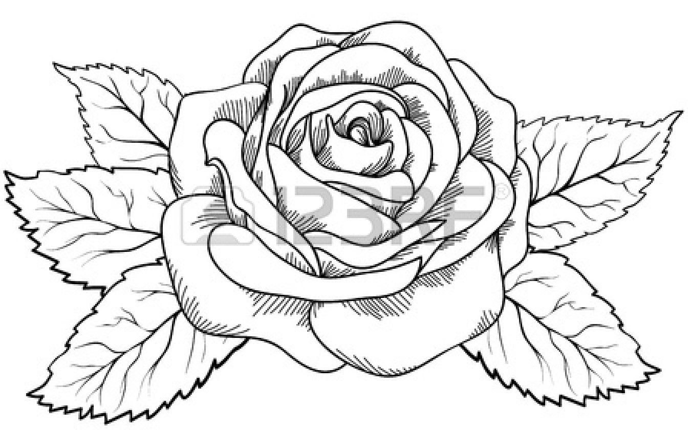 Сложный рисунок розы (63 фото) » Рисунки для срисовки и не только