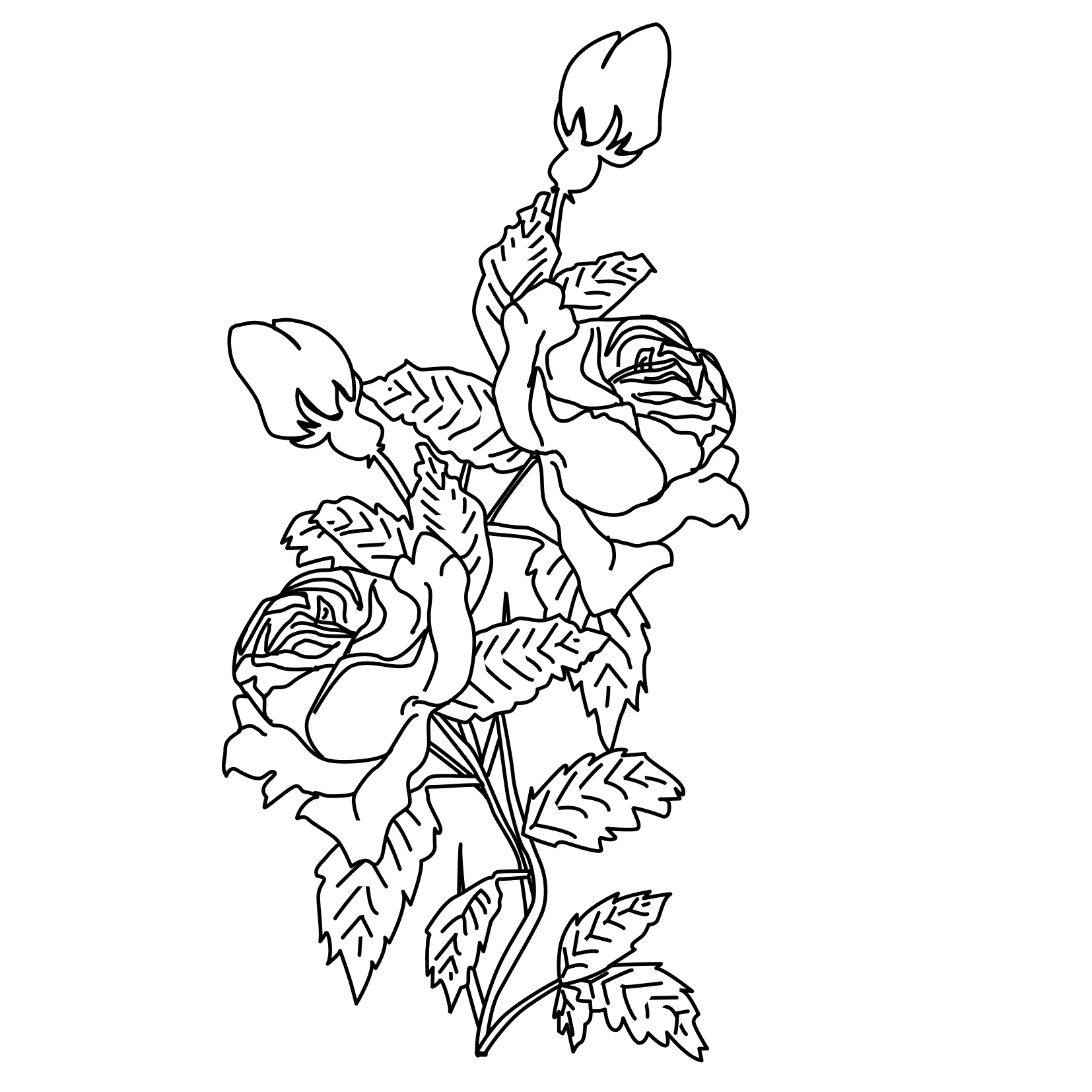 Раскраска наклейками розы