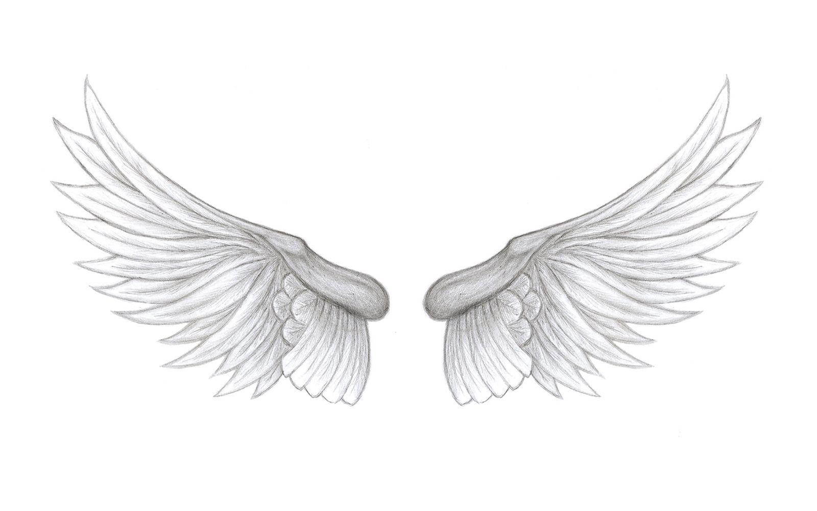 Крылья ангела эскиз на белом фоне