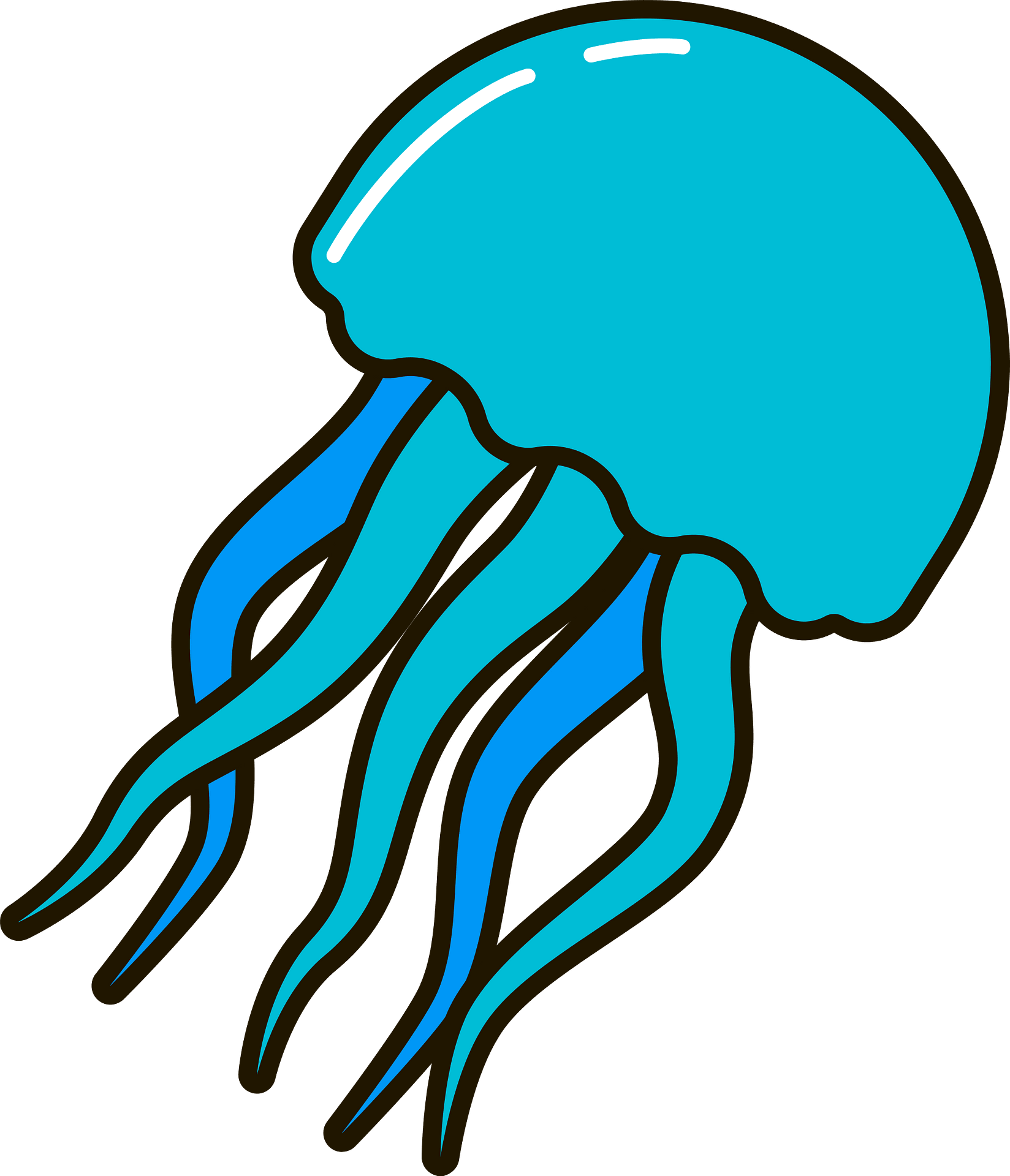 Раскраска Медуза