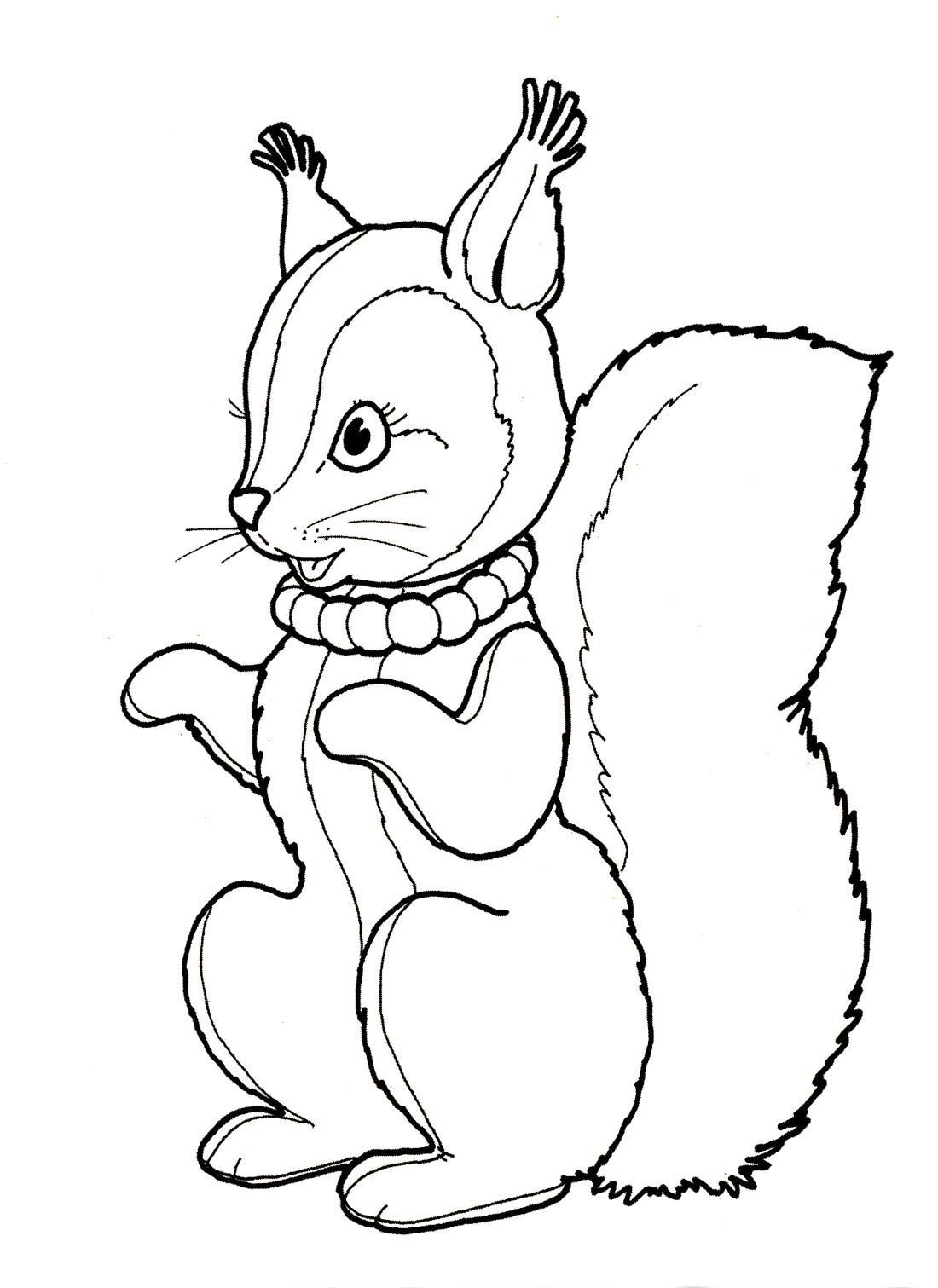 Рисунок белочка с орешками раскраска (41 фото) » рисунки для срисовки на l2luna.ru