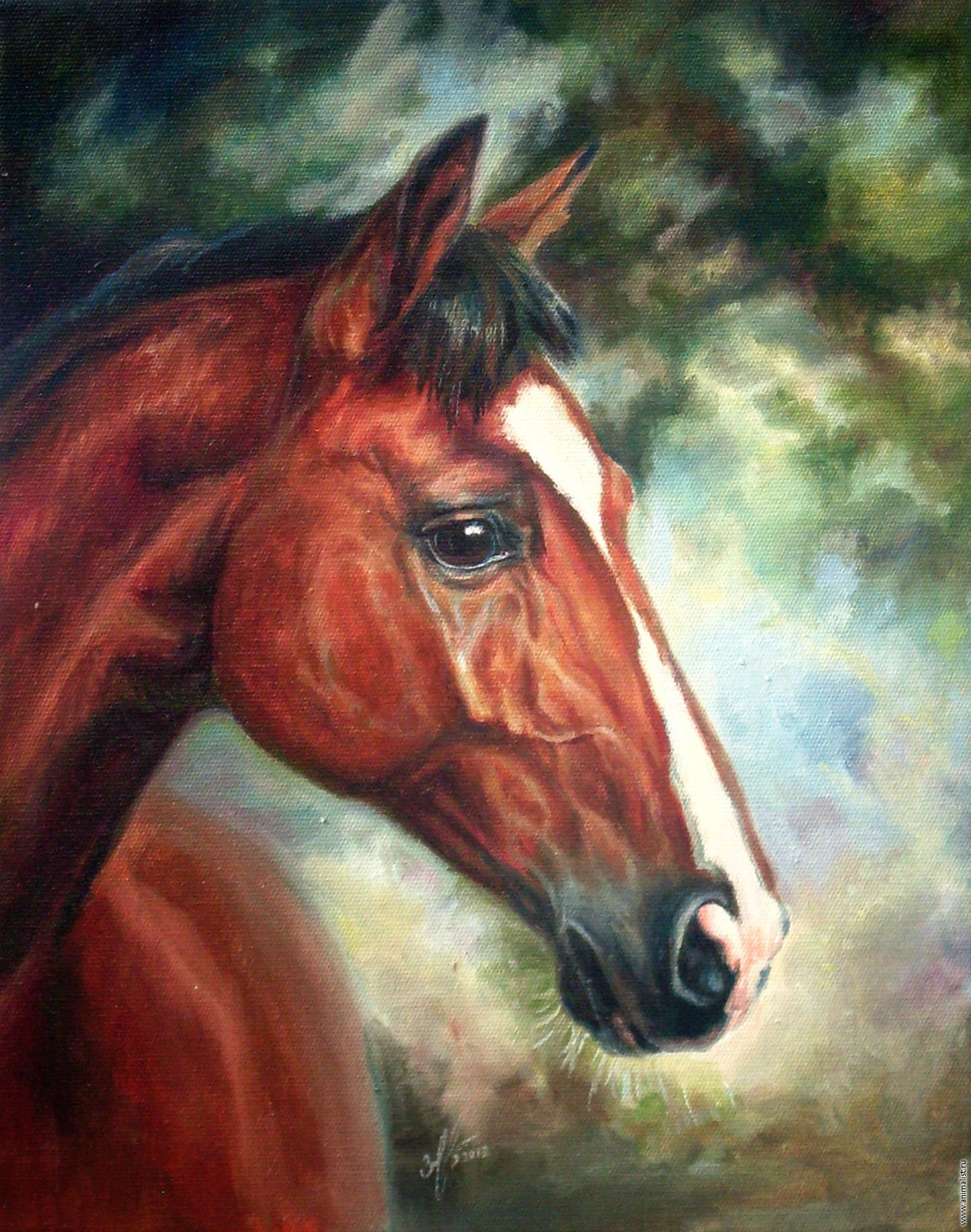 Лошадки маслом. Конь маслом. Кони в живописи. Голова лошади живопись. Морда лошади.