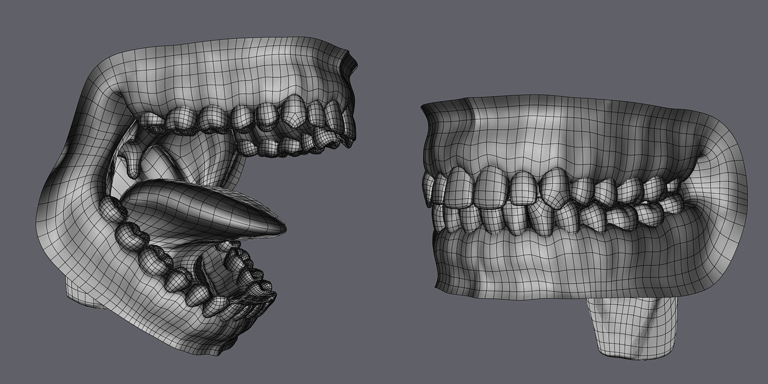Как сделать челюсть из бумаги. Челюсти 3д. 3д моделирование челюсти. Челюсть 3д модель. Челюсть референс.