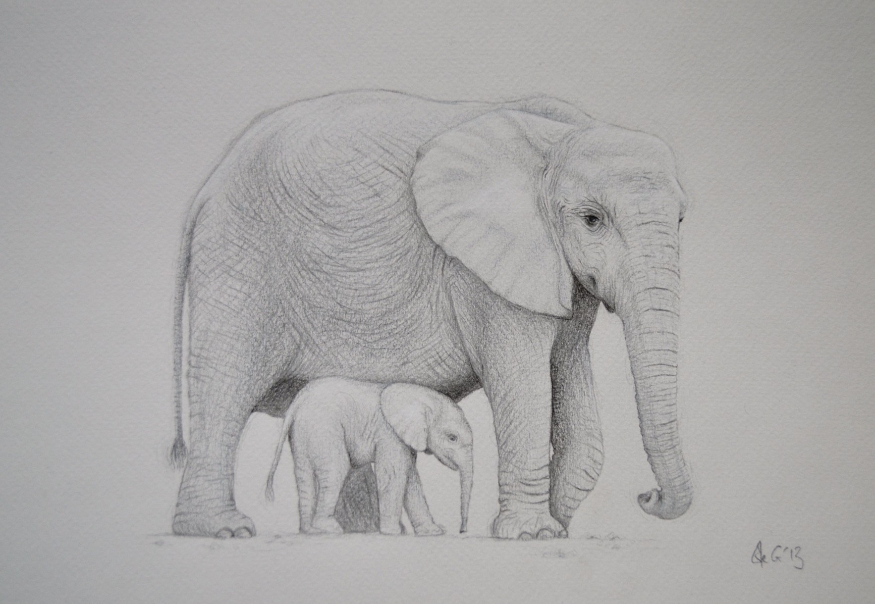 Рисунки слонов для срисовки