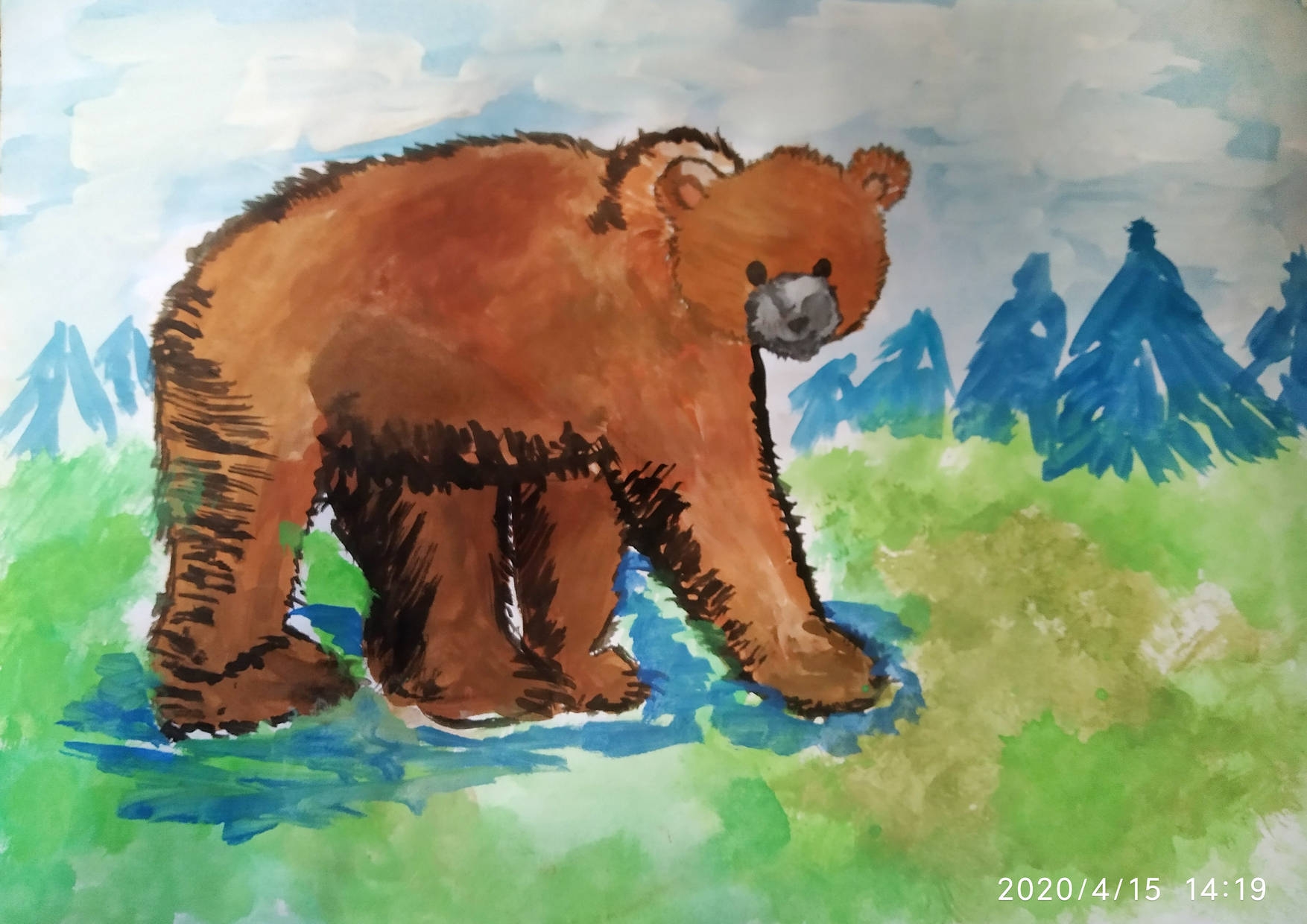 Этапы рисования медведя
