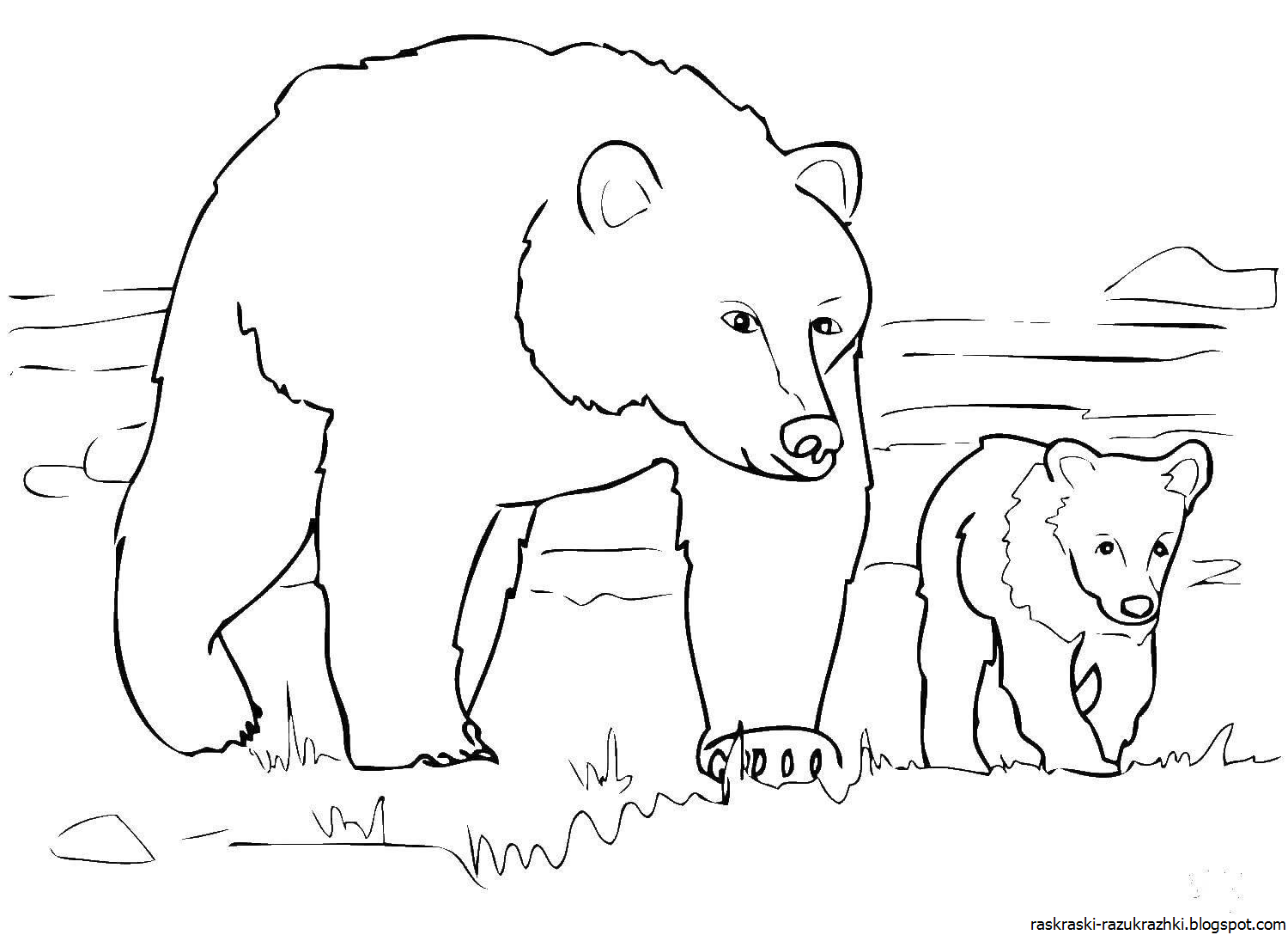 Как нарисовать медведя. Рисунок и раскраска медвежонок для детей