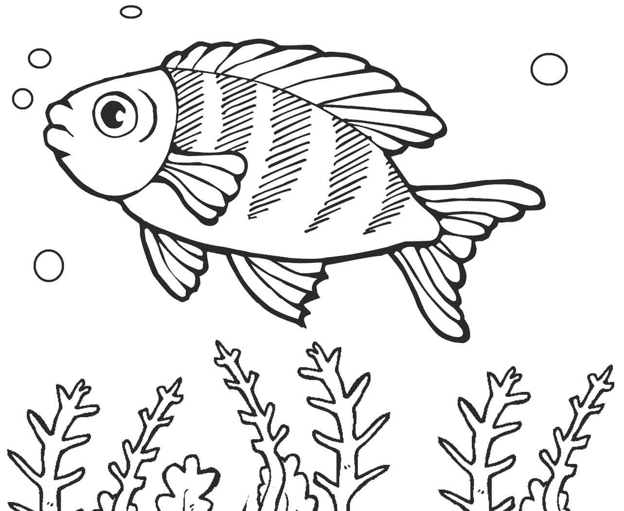 Рыбы для детей 3 4 лет. Рыба раскраска. Раскраска рыбка. Рыбка раскраска для детей. Рыба раскраска для детей.