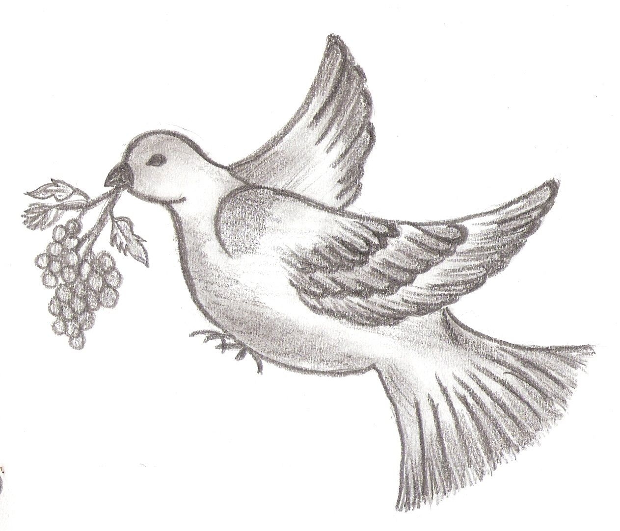 Птичка рисунок карандашом