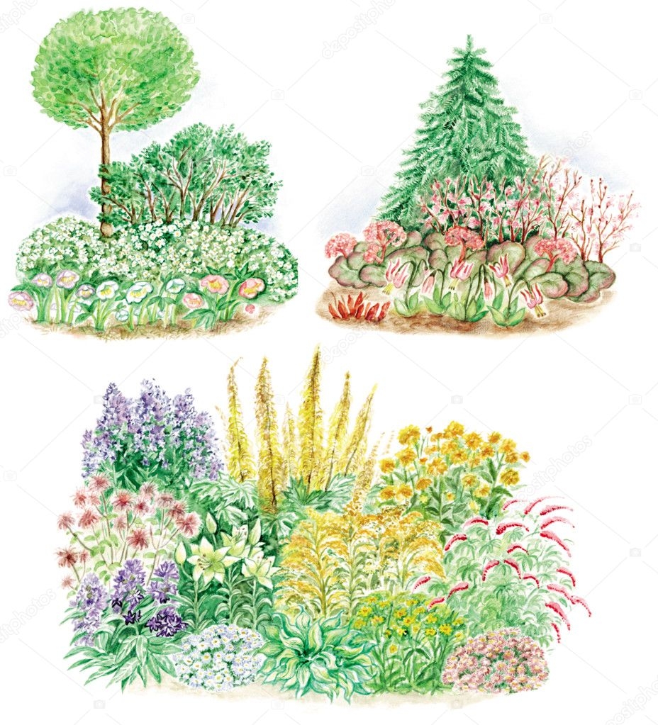 Клумба с цветущими кустарниками эскиз