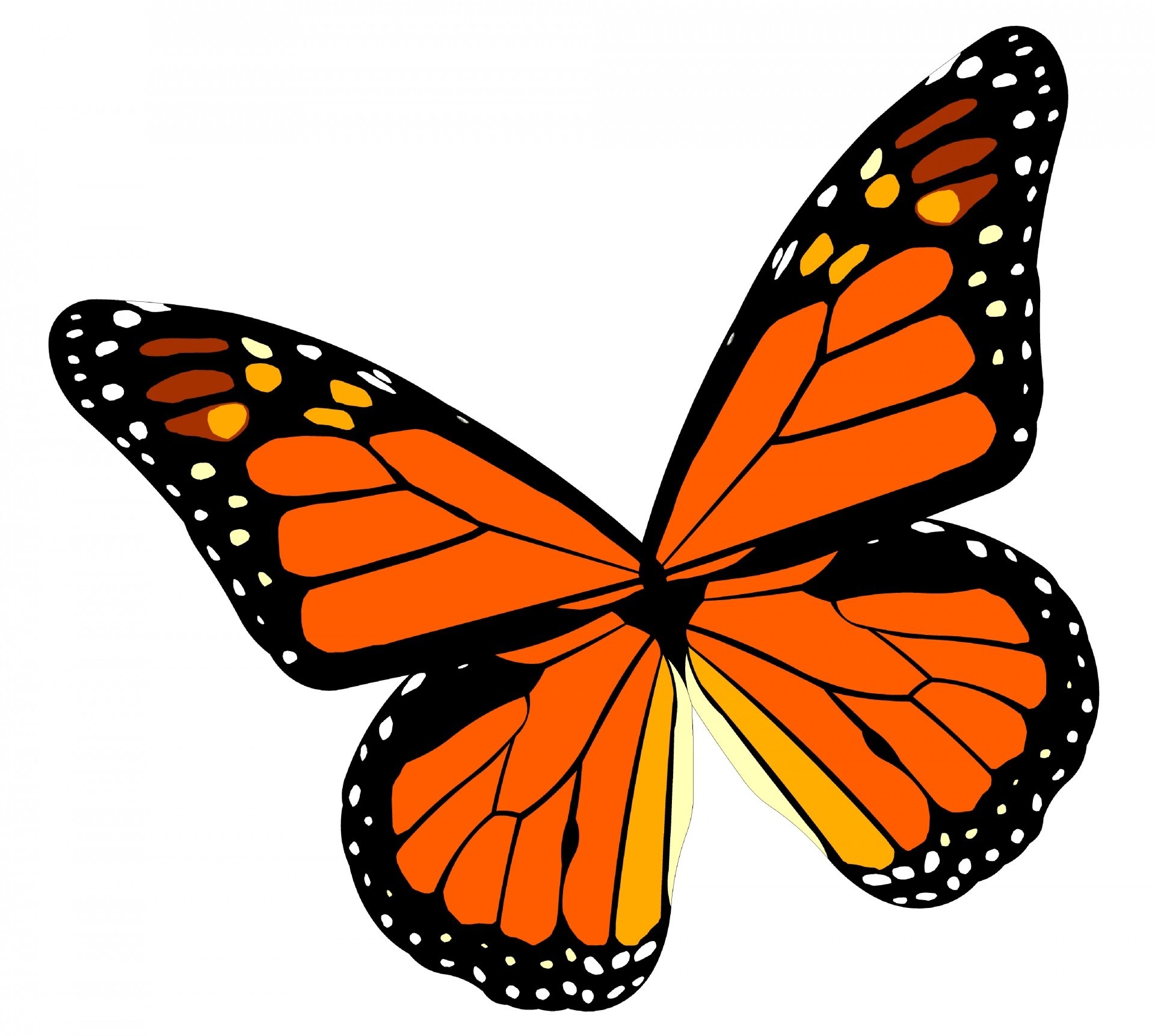 Бабочка скопировать. Бабочки картинки. Бабочка рисунок. Бабочка картинка для детей. Красивые бабочки.