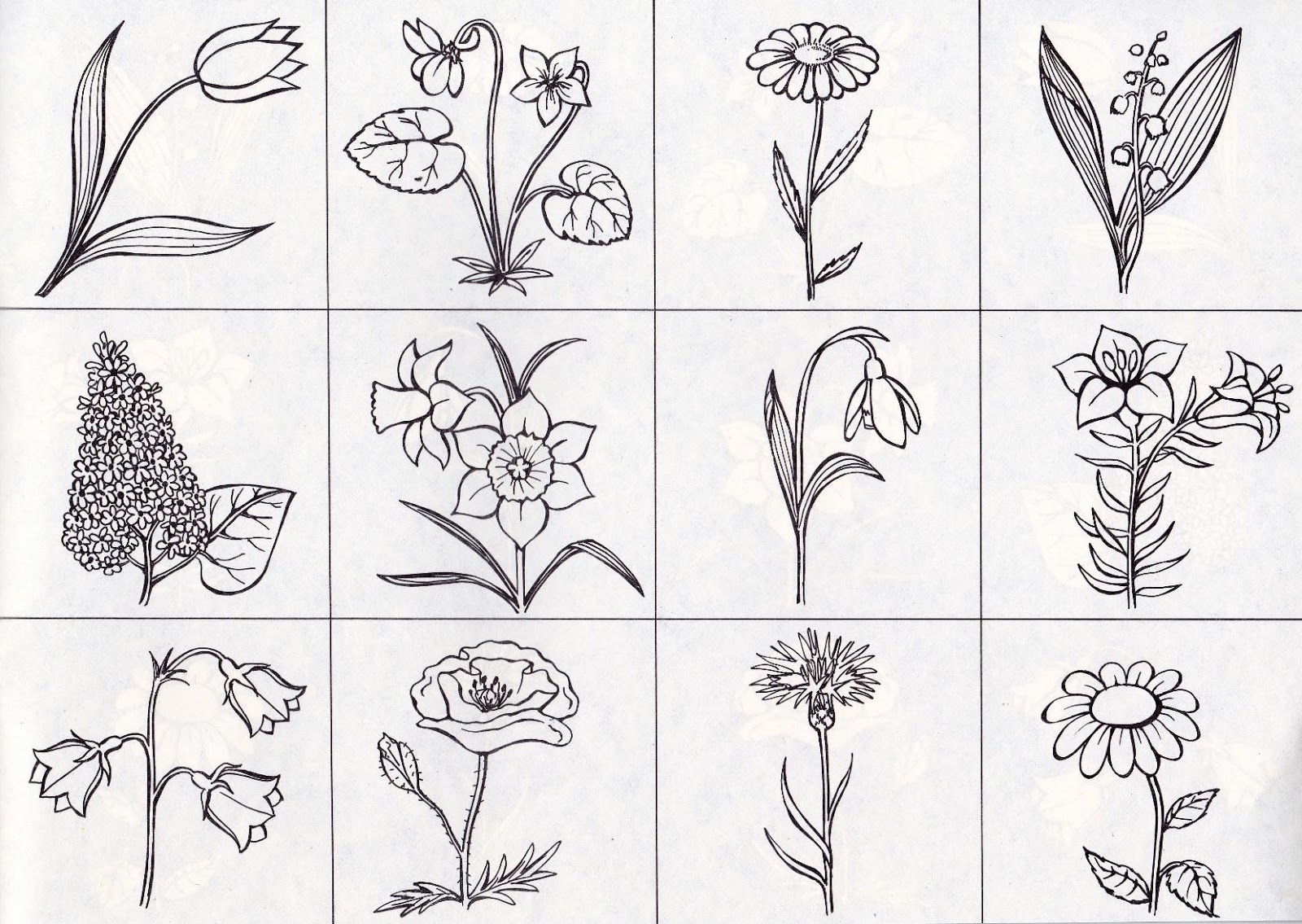 Весенние цветы изолированная страница раскраски для детей