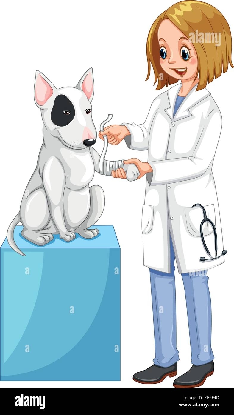 Ветеринар рисунок Изображения – скачать бесплатно на Freepik