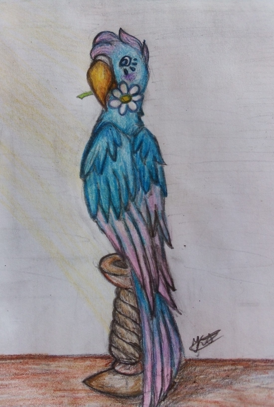 Алиса, рисунок попугая.