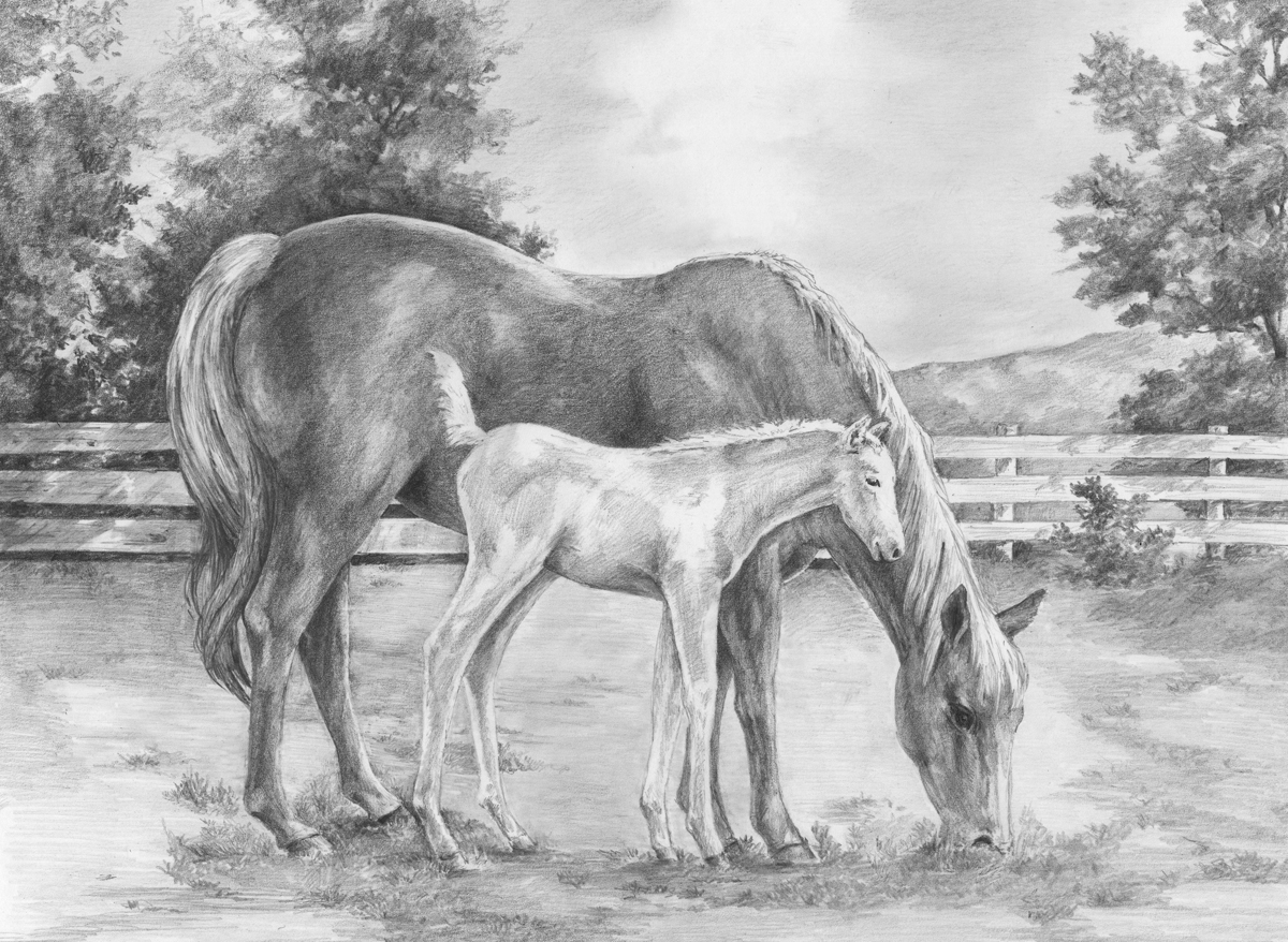Зарисовки лошадей