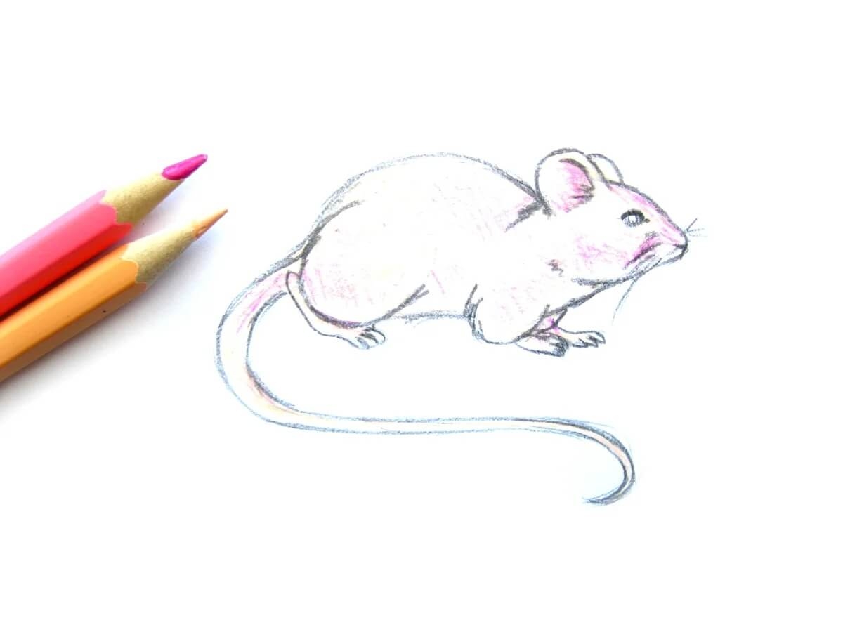 Мышка карандашом