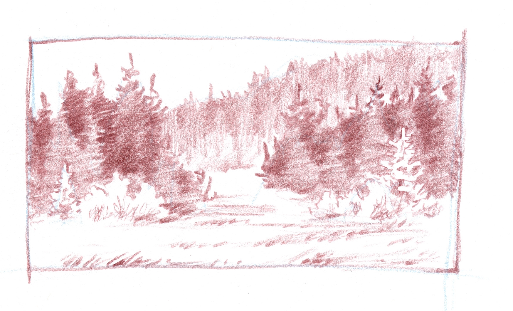 Coniferous Forest рисунок