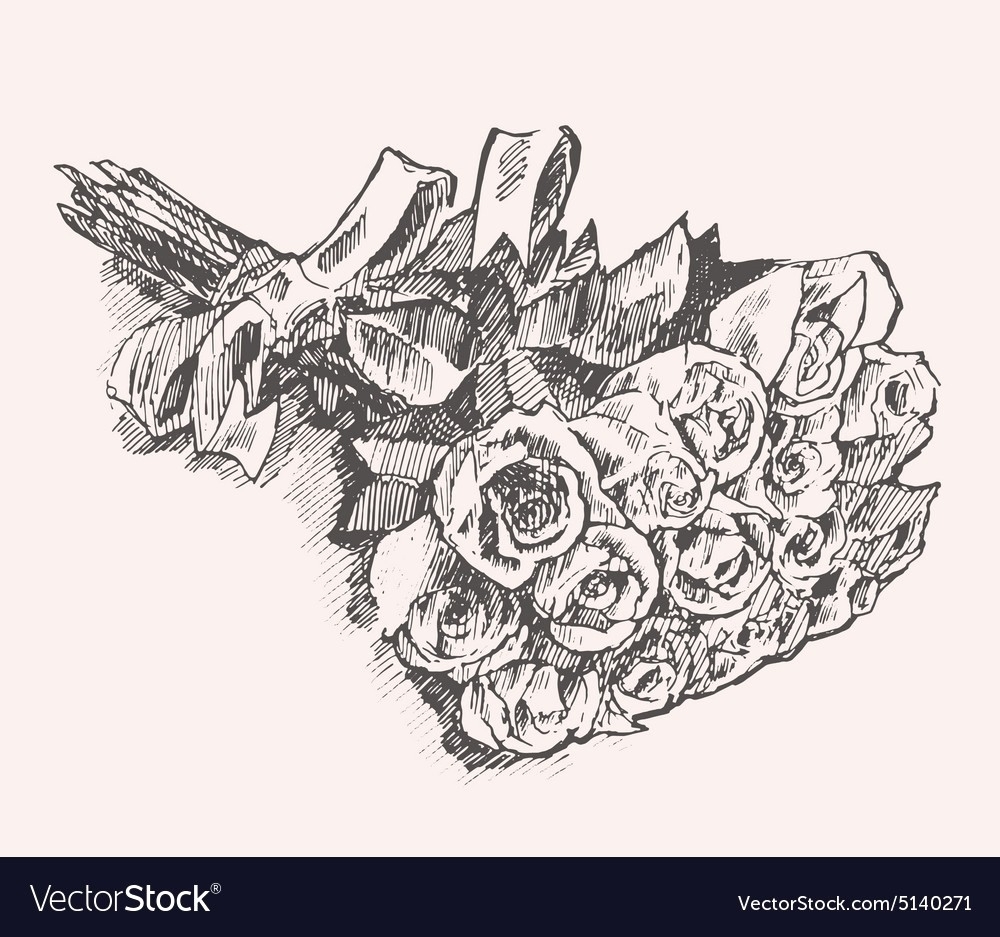 Карандашный эскиз букета роз