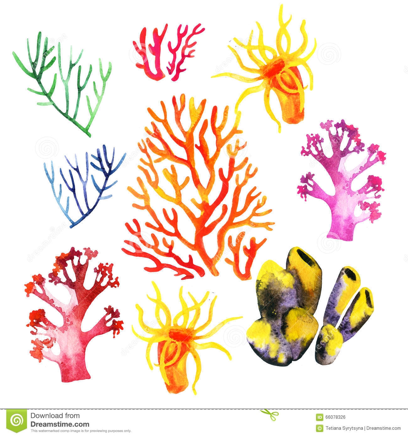 Рыбки кораллы акварелью