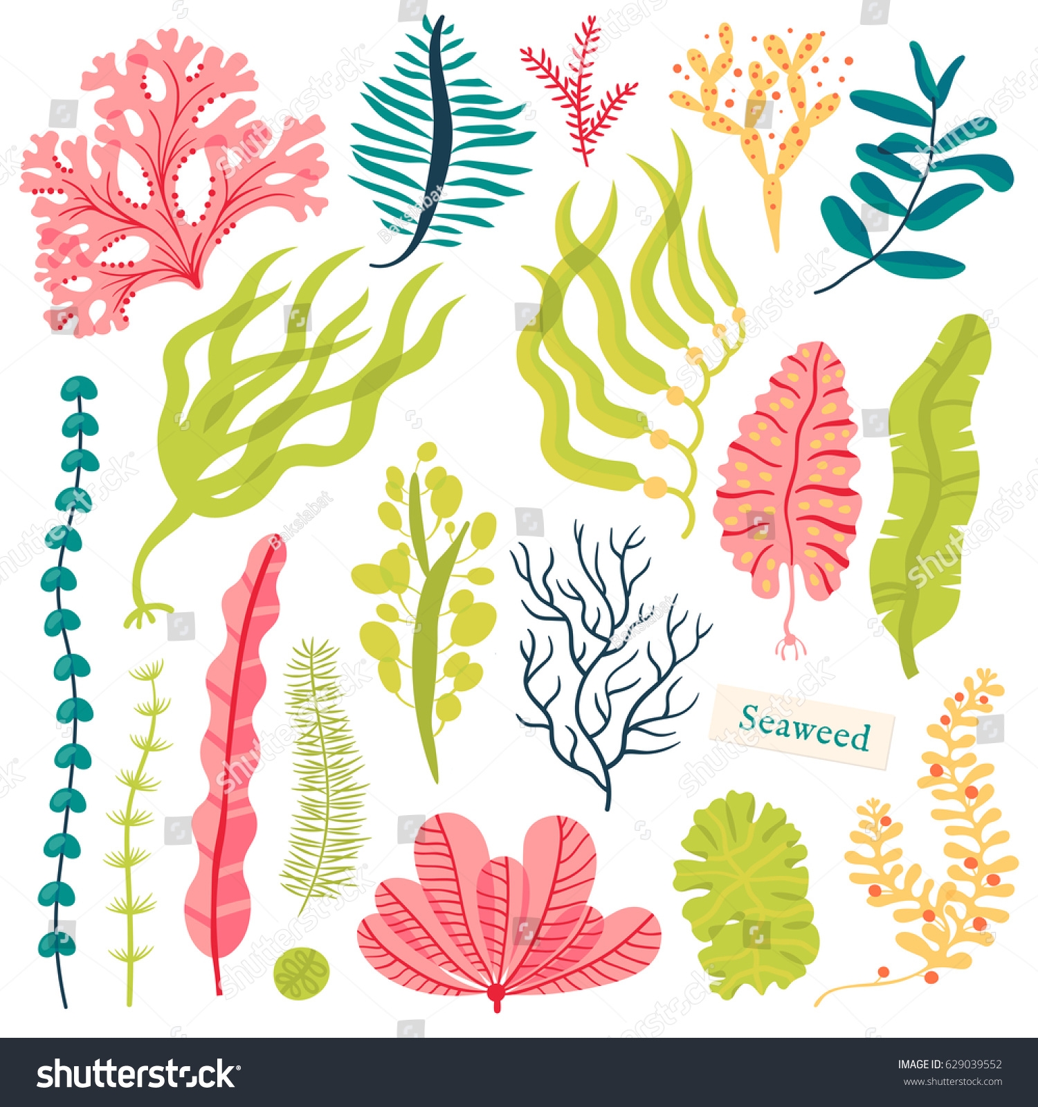 Стилизованные морские растения