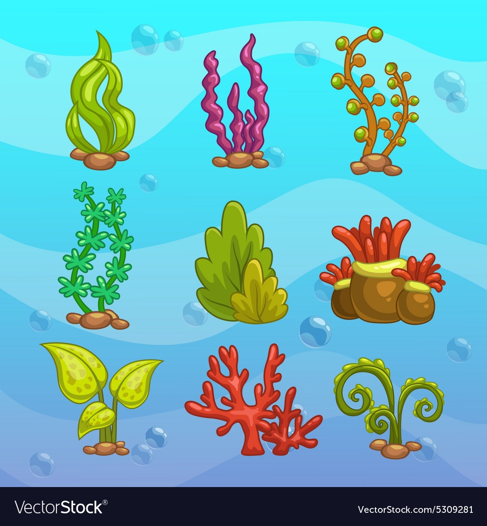 Водоросли для детей. Подводные растения. Водоросли детский рисунок. Морские растения Графика. Морские растения рисунки.