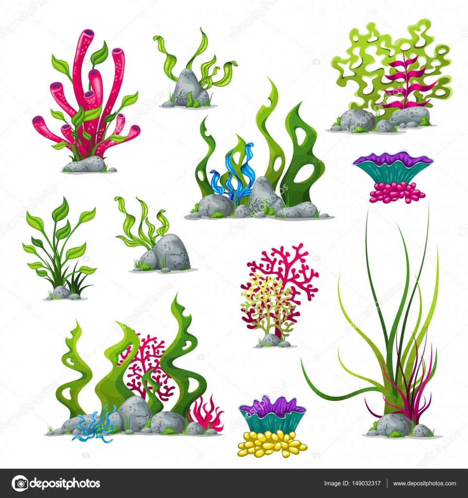 Подводные растения вектор
