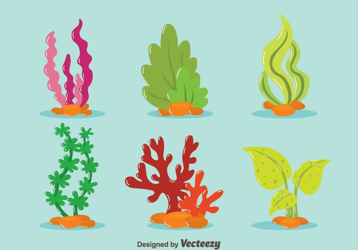 Морские водоросли картинки для детей