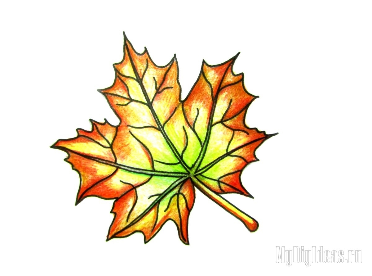 картинки листьев для срисовки карандашом