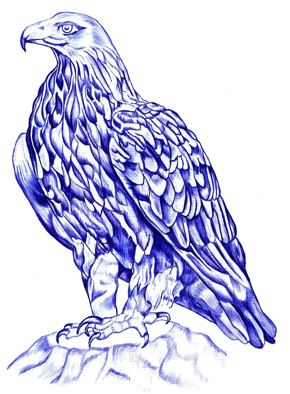 Орел нарисованный синей ручкой