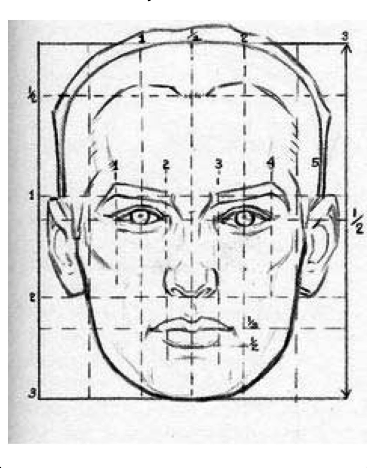 Лицо рисунок схема. Пропорции портрета человека. Рисование головы человека пропорции головы. Пропорции лица человека для рисования сбоку. Пропорции рисования портрета.