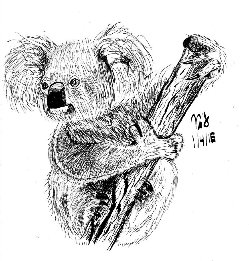 Картинка коала рисунок с оружием