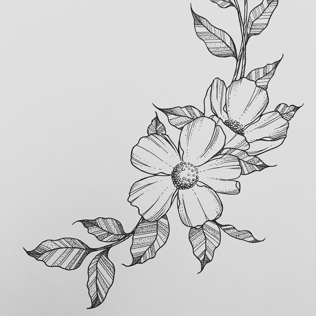 Нарисованный цветок карандашом - 63 фото