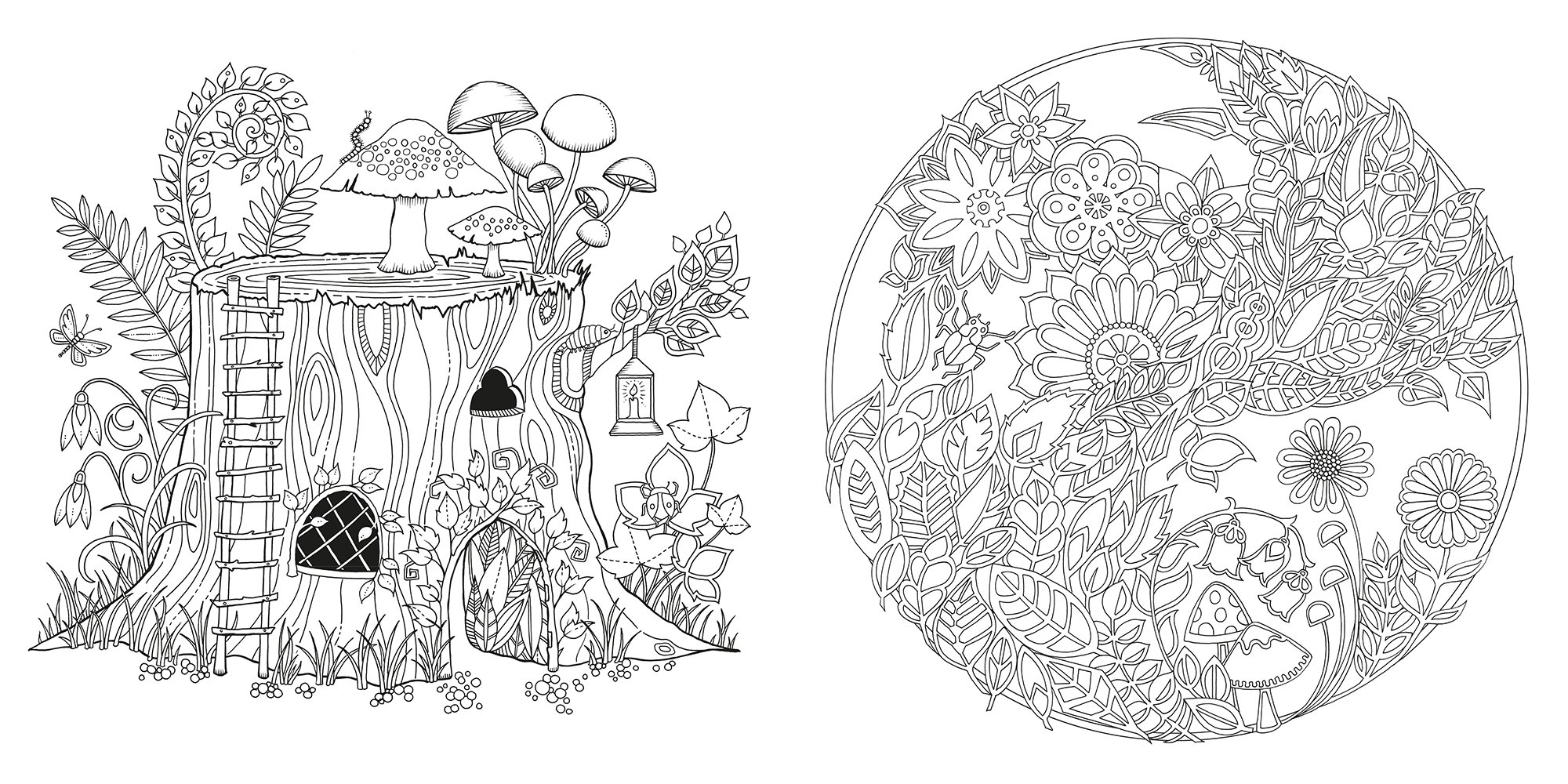 Книга раскраска «Таинственный сад», Джоанна Басфорд - купить на prachka-mira.ru