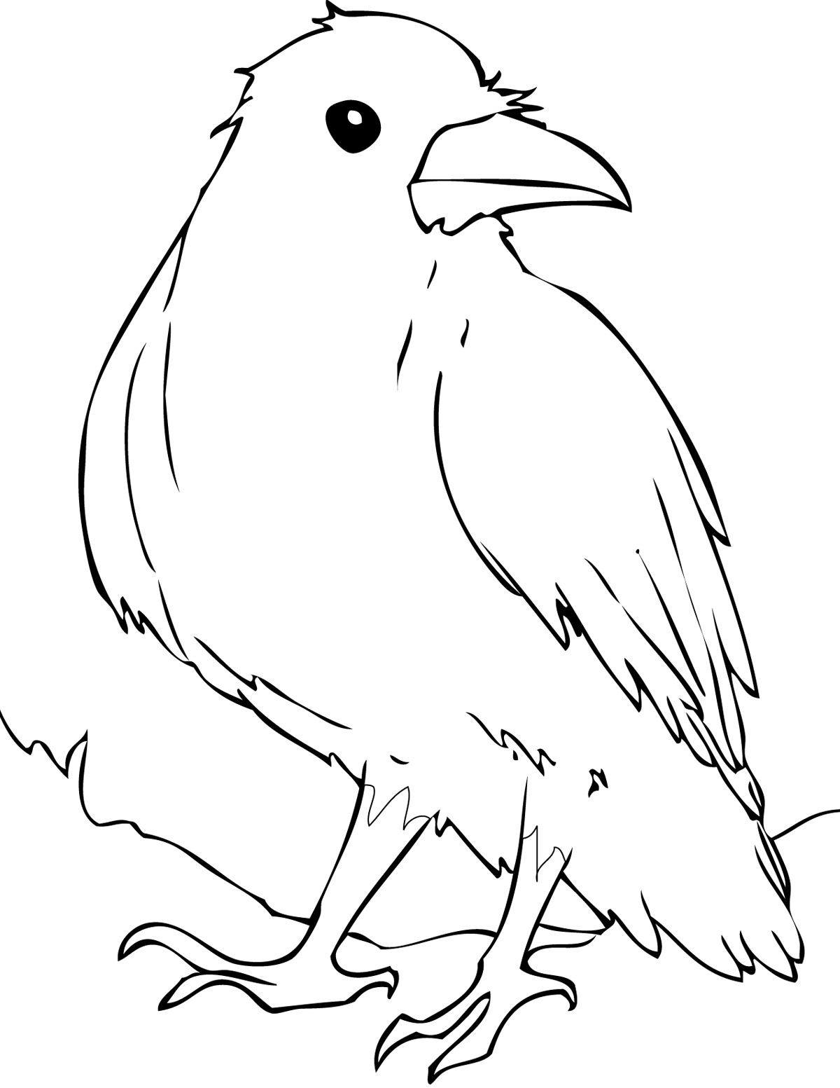 Раскраска умная ворона