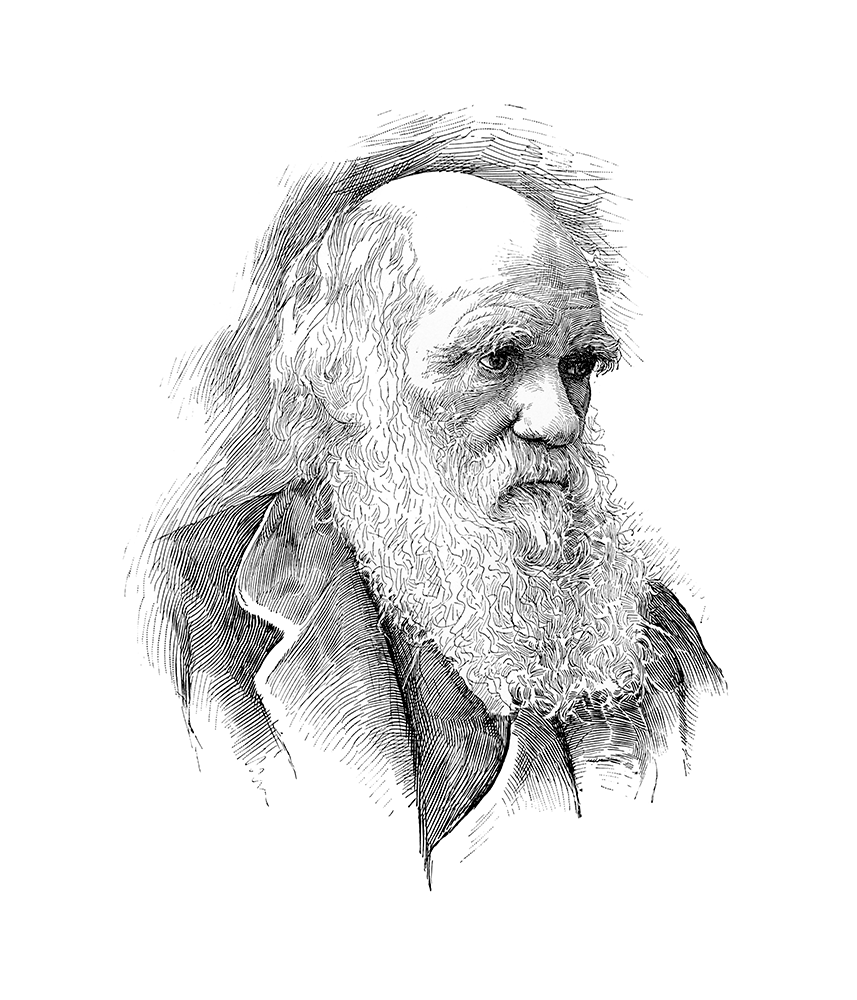 Дж дарвин. Дарвин портрет.
