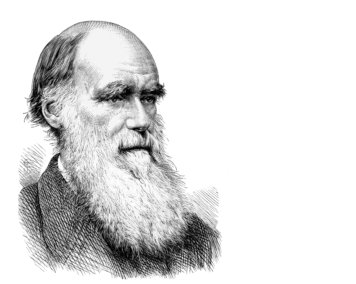 Дарвин это. Дарвин годы жизни.