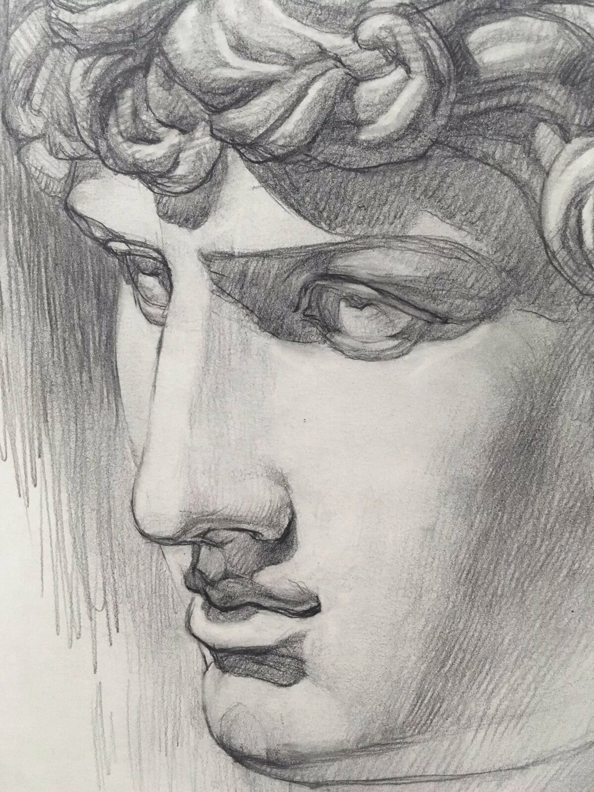 Рисование гипсовой головы Антиноя