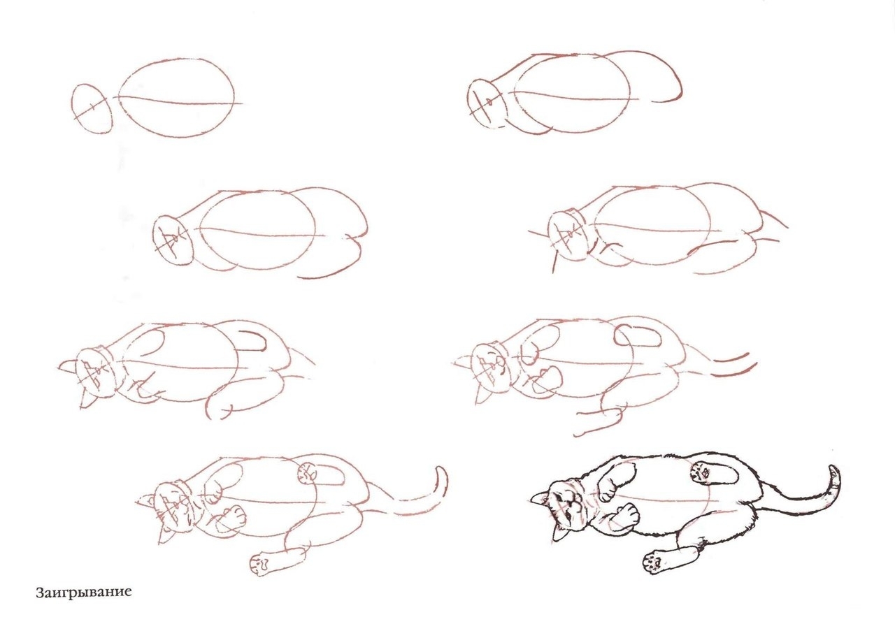 Пошаговое рисование кошки карандашом