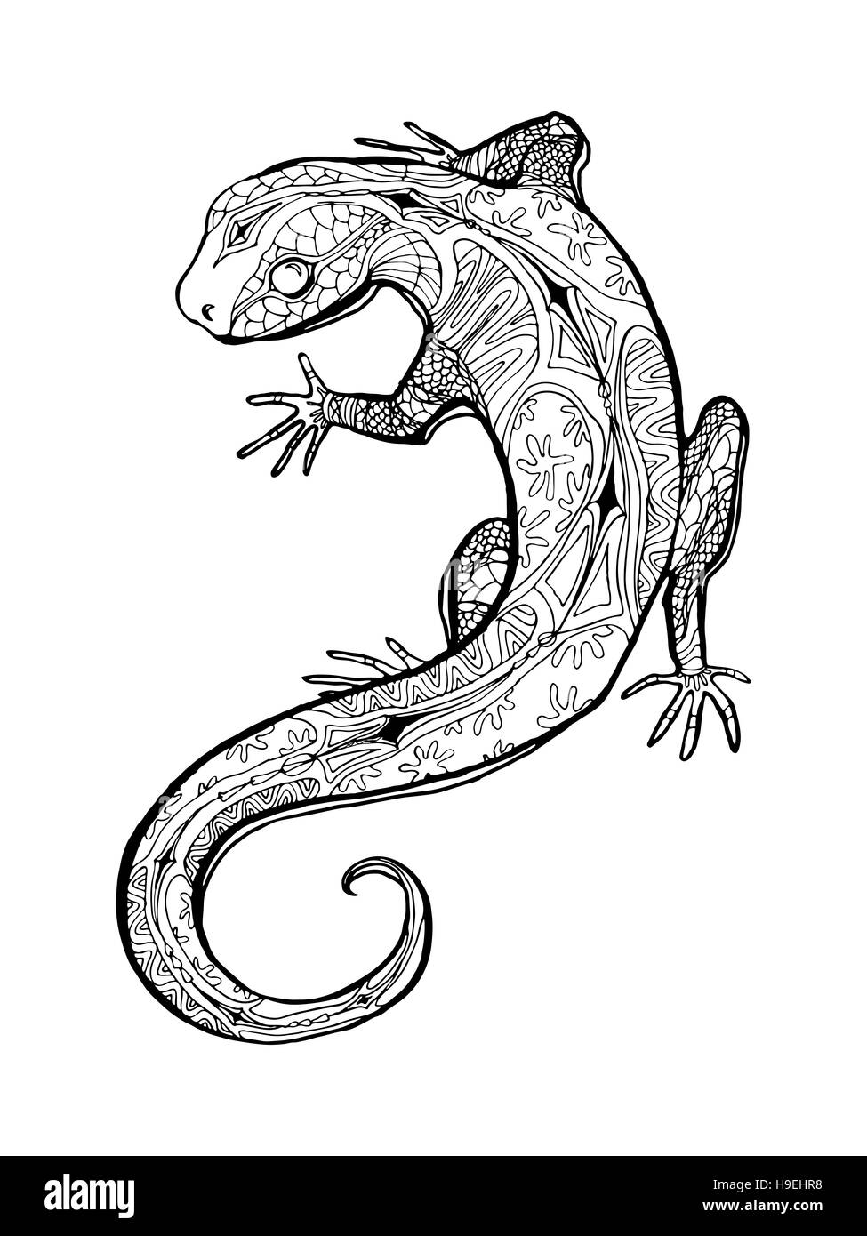 Раскраска Гауди ящерица