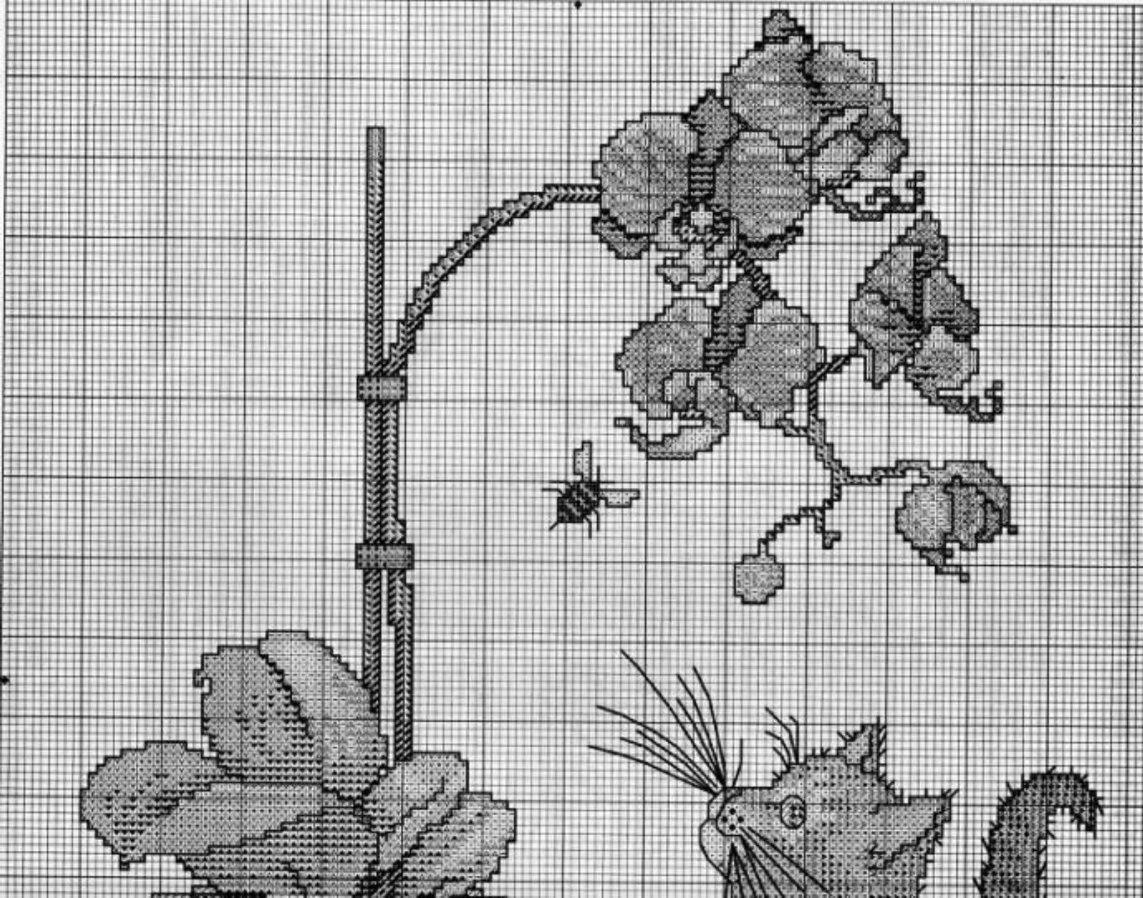 Вышивка крестом орхидеи монохромный схемы