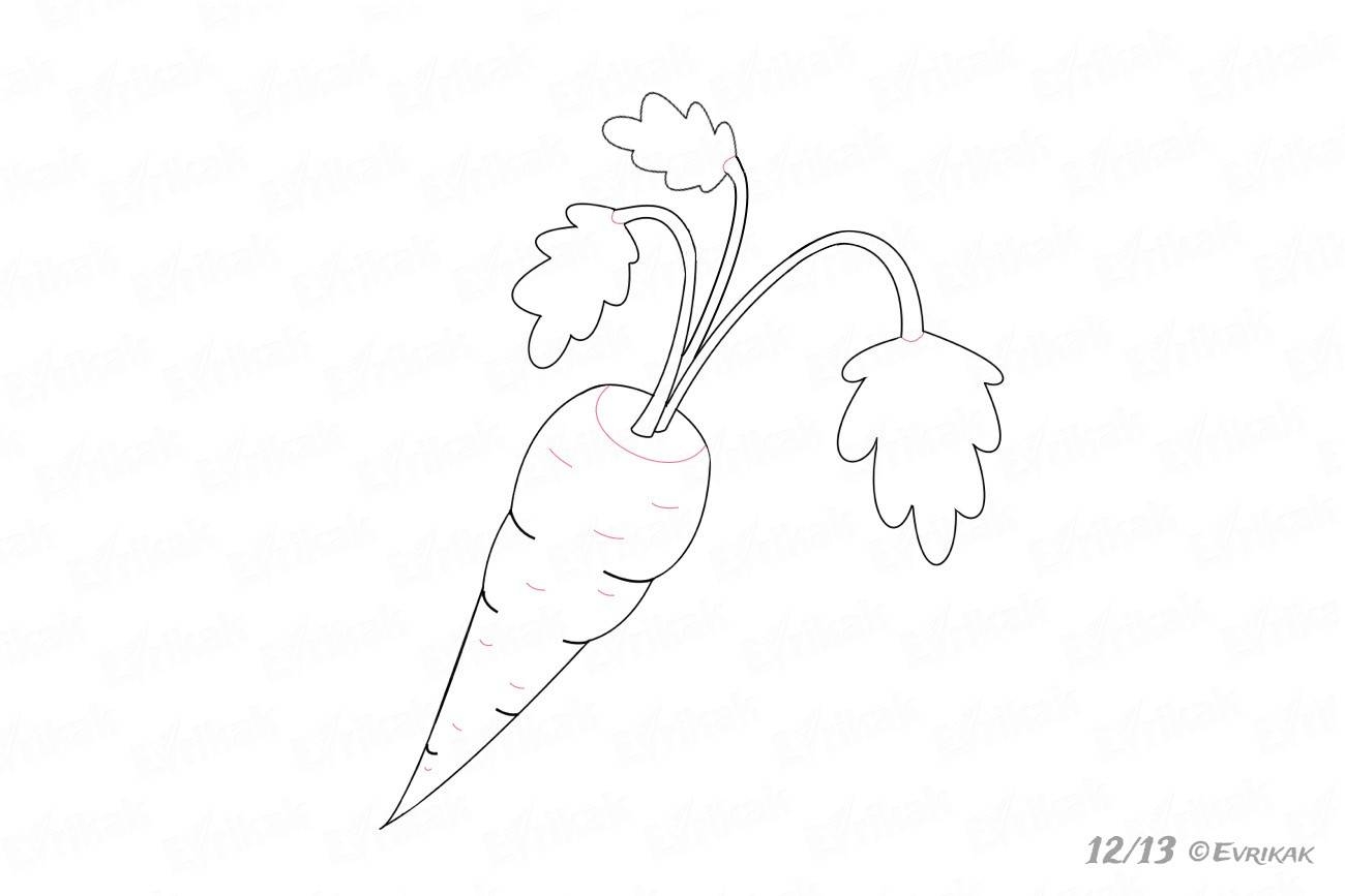 Поэтапное рисование моркови