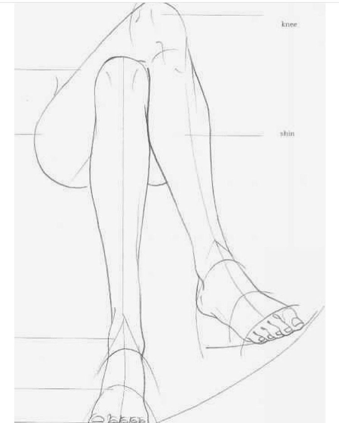Leg art. Нога на ногу референс. Рисование женских ног. Зарисовки ног. Наброски ног.
