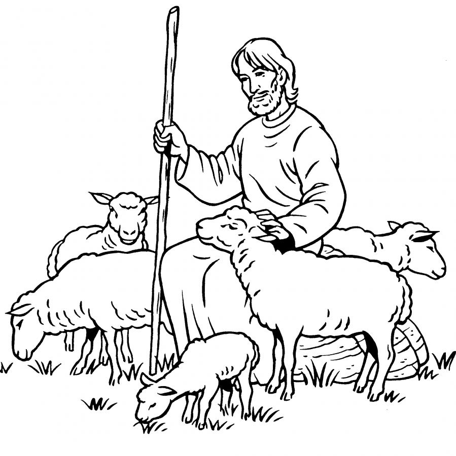 Рисунок пастух - 47 фото