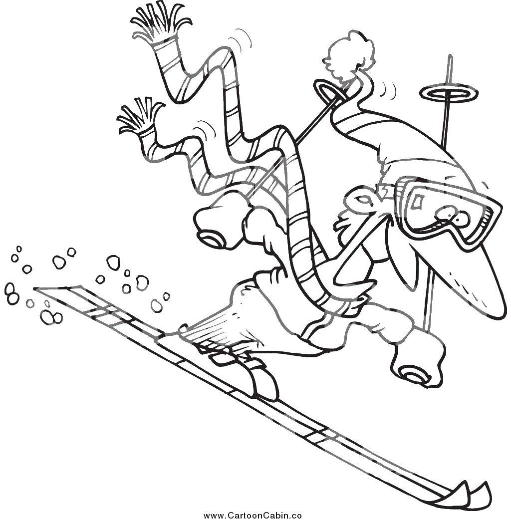 Раскраска смешной лыжник