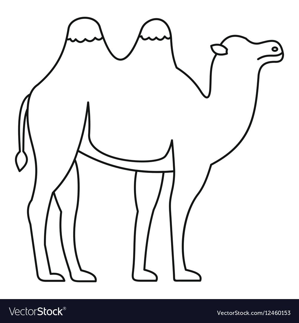Рисунки верблюда для срисовки