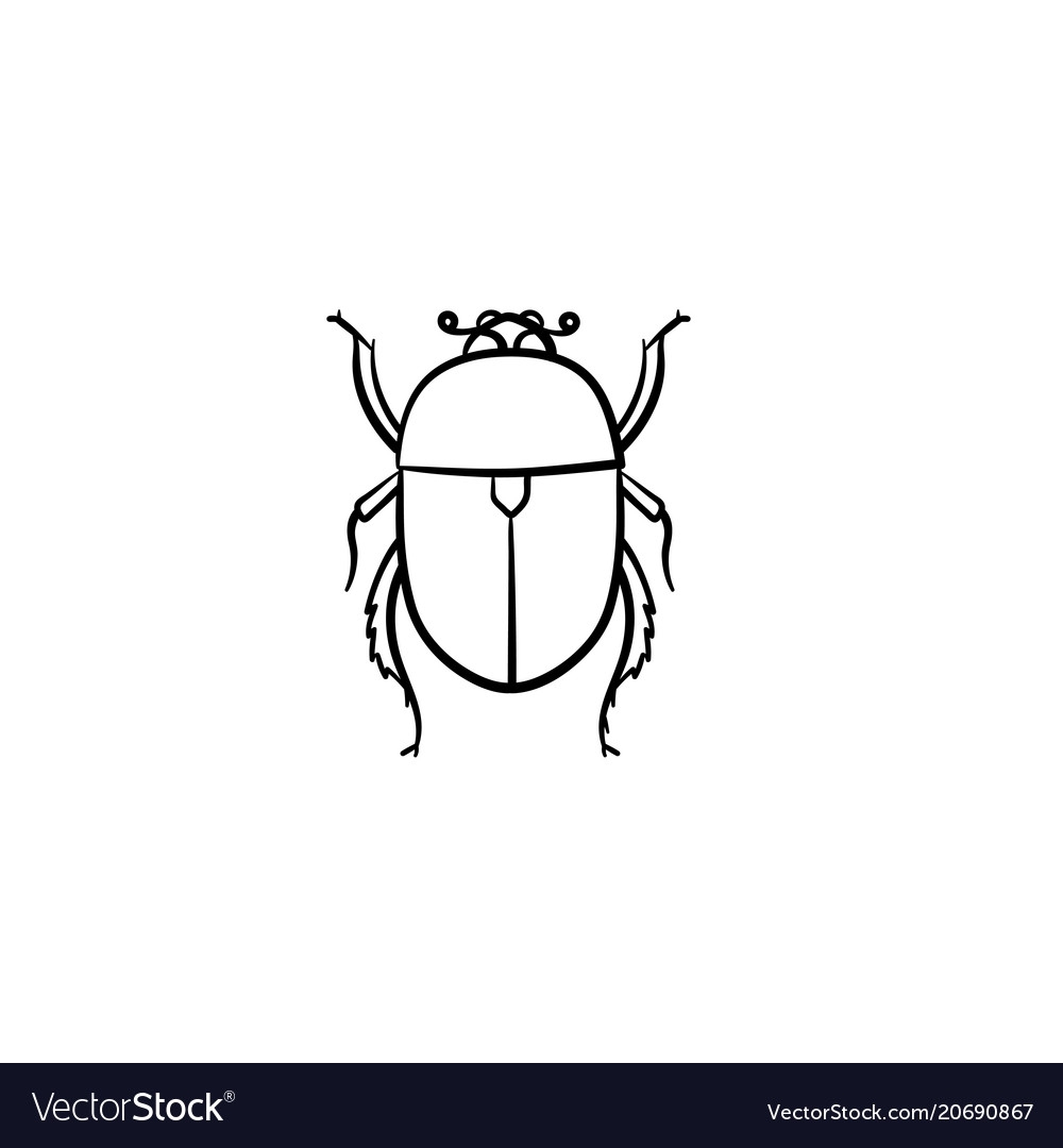 Рисунок жука для срисовки