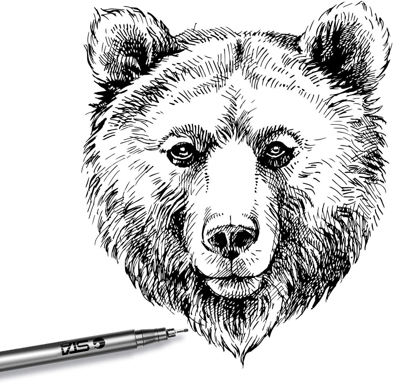 Медведь арт рисунок - 76 фото