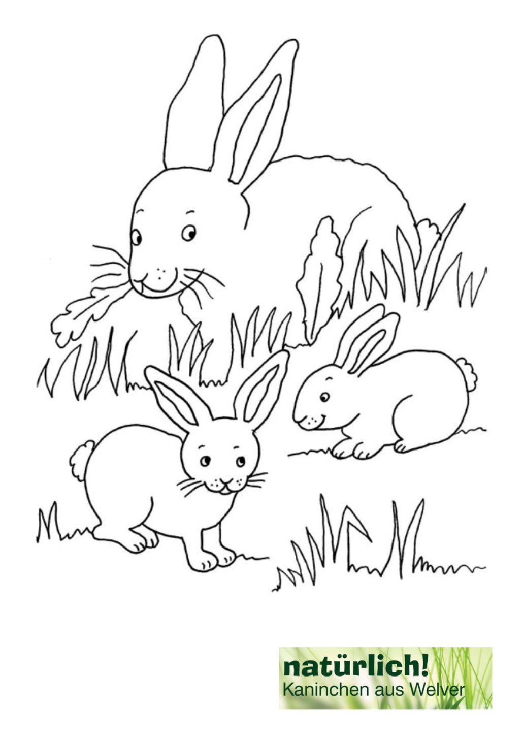 Заяц с зайчатами черно белая