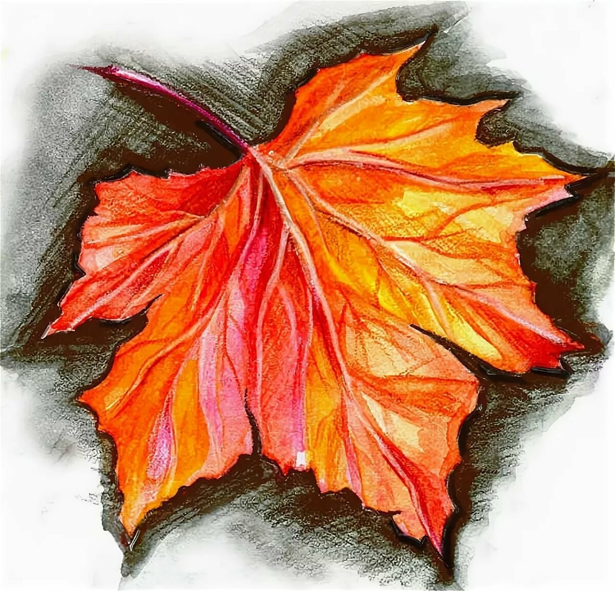 Осенний лист рисунок. Листья рисунок. Кленовый лист. Рисование осенних листьев. Лист клёна рисунок.