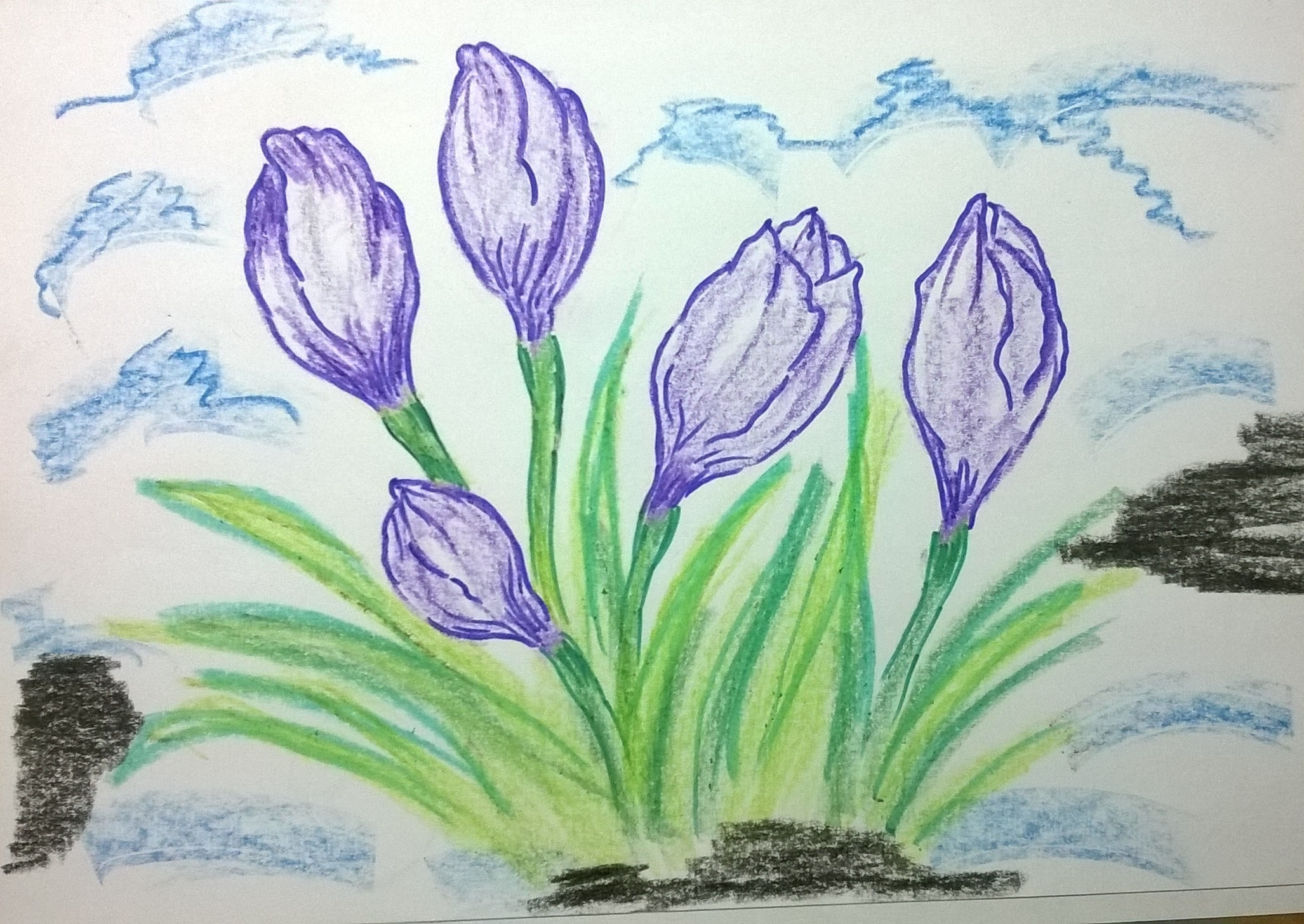 Рисование первые весенние цветы